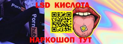 PSILOCYBIN Гай